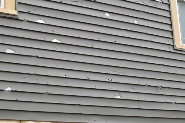 Best Historical Building Siding Restoration  in Red Oak, TX