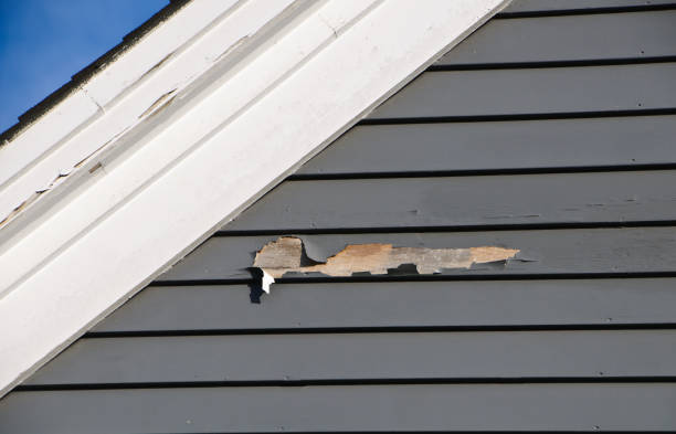 Best Custom Trim and Detailing for Siding  in Red Oak, TX